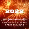 New Years Dance Party Dj - 2022 New Year Music Mix - EDM, Dance, Electro House Mix for a Happy New Year
